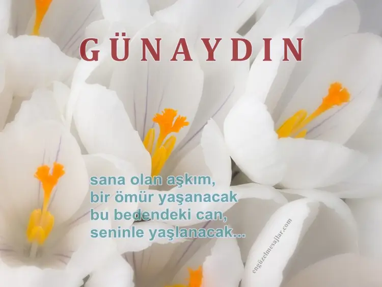 Günaydın İyi Sabahlar Mesajları Sözleri