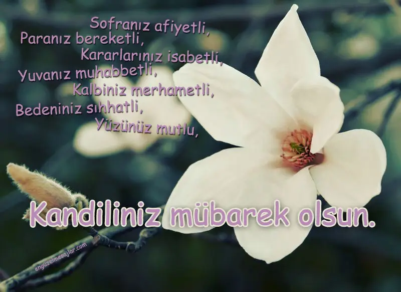 Resimli Regaip Kandili Mesajları Sözleri