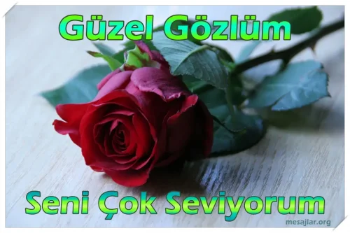 Resimli Sevgi Mesajı